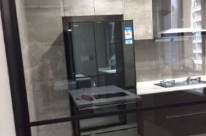 日立冰箱好吗？-1